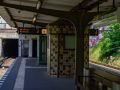 20230520  dsc7309