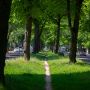 20230520  dsc7327