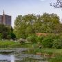 20230520  dsc7402